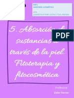 2 - Absorción Piel - Fitoterapia I Fitocosmética