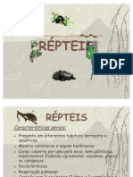 Repteis