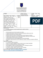 Pauta Evaluación Triptico