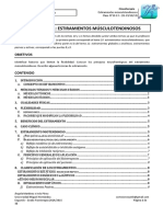 Tema 10 y 11 Estiramientos Músculotendinosos