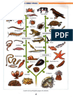 Atlas de Zoologia Santillana