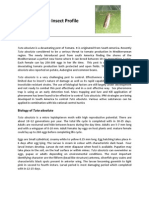 Tuta Absoluta - Insect Profile