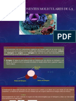 Componentes Moleculares de La Celula (G2)