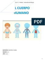 Secuencia N°1-Cuerpo Humano PDF