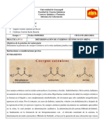 Informe 14 - Bioquimica Ii