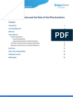 BIO (Study Guide)