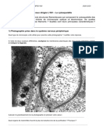 TD Le Cytosquelette Polycope