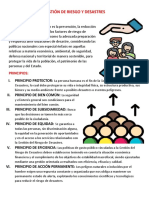 Resumen de Gestión de Riesgo y Desastres