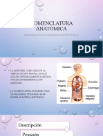 Nomenclatura Anatómica