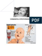 NEWBORN EXPLANATION Final