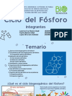 Ciclo Del Fósforo - Ecología