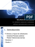 Neurocisticercosis