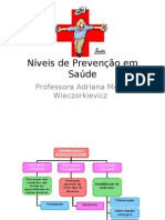 Aula Níveis de Prevenção