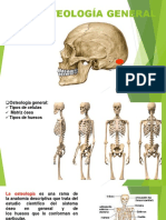 OSTEOLOGIA 