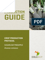 Cropproductionprotocol Sugarloafpineapple Eng