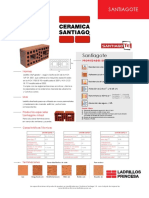 Ficha Santiagote 9