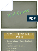 Disease of Pearl Millet