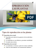 12 Reproduccion Plantas-2