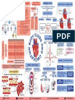 A18 BODY FLUIDS in Human Body