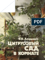 Дадыкин. Цитрусовый Сад в Комнате