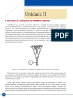 Livro Texto Unidade II