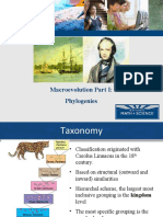 Macroevolution Part I Phylogenies