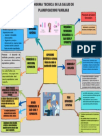 Organizador Gráfico Digital-Planificación Familiar Norma Técnica