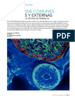 Parasitosis Comunes: Internas Y Externas