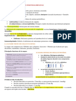 Proteínas Plasmáticas e Inmunoglobulinas