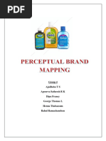 Assignment 2 Perceptual Brand Mapping Group 4 PDF