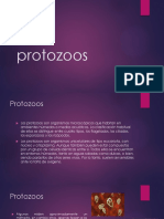 Protozoos