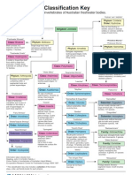 Invertebrate Classification Key