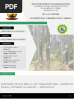 Informe Inventario Forestal