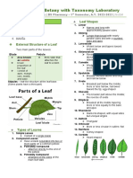 CEU Botany - LEAF/FLOWERS