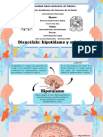 Capitulo 8 Diencefalo - Hipotalamo y Epitalamo