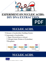 Post Lab - DIY DNA Extraction-1