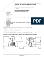 4° Diciembre - Eval Ciencia y Tecnologia