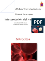 Interpretación Del Hemograma