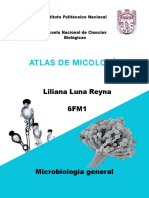 Atlas Mico pdf-1