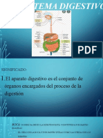 Sistema Digestivo