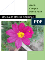 Oficina de Plantas Medicinais