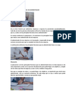 5 Funciones Principales de Un Administrador