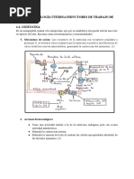 Farmacología Uterina