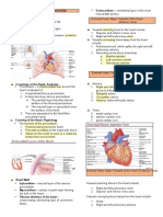 Cardiovascular System