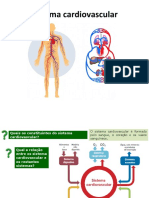 7A Sistema Cardiovascular