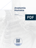 Anatomia Humana: Professora