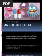 Antibiotioterapia 2