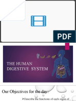 4thQ Week1 PPT Digestive