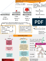 Protocolo Diagnóstico de Las Anemias Microcíticas, Normocíticas y Macrocíticas CAROLAYNNE MADRID TRIVIÑO