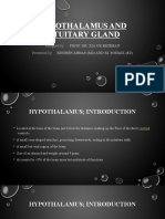 Hypothalamus and Pituitary Gland